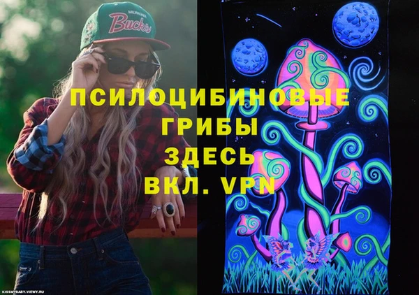 твердый Алексеевка