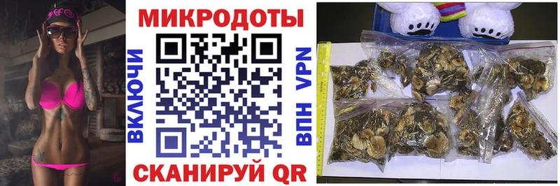 Псилоцибиновые грибы мицелий  закладка  Павлово 
